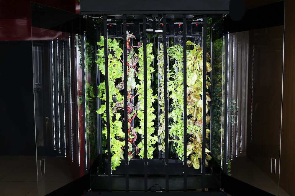 Inside of just harvest